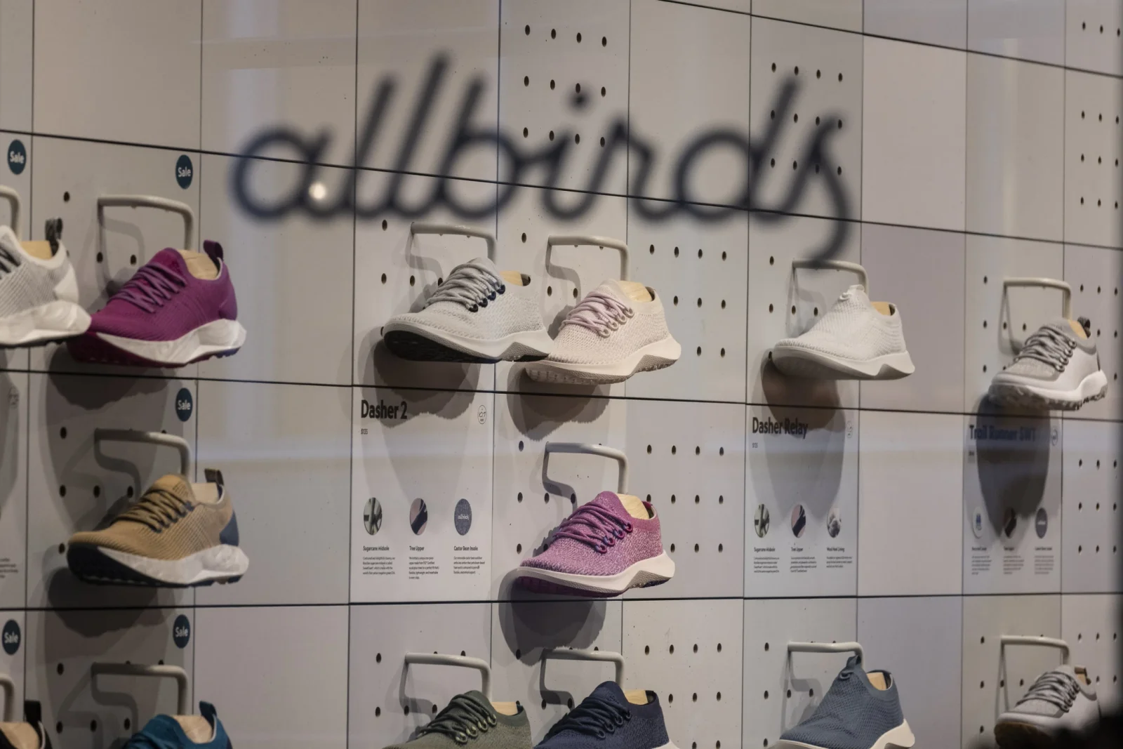 "Allbirds" ayaqqabı istehsalından süni intellektə keçid etdi: Səhmlər 721% bahalaşdı