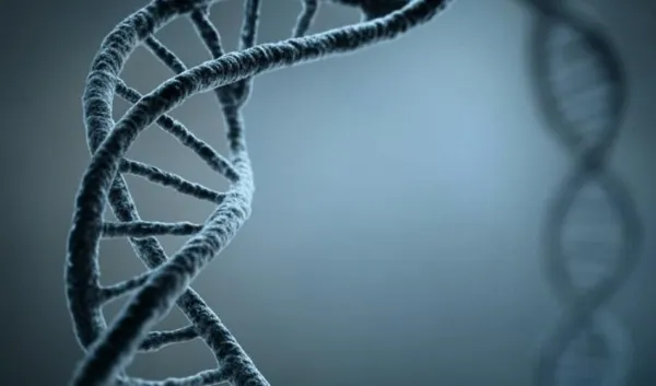 Qədim DNT tədqiqatı: İnsan təkamülü və təbii seçilim son 10 min ildə gözlənilmədən sürətlənib