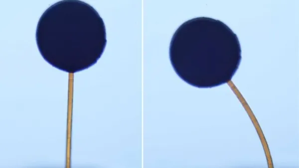 "MIT" mühəndisləri maqnitlə idarə edilə bilən 3D çaplı mikrorobotlar hazırlayıblar