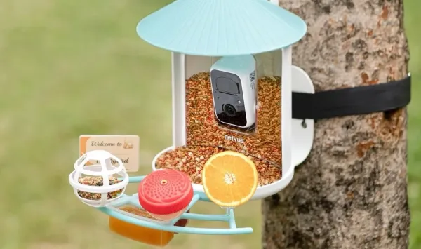 "Birdfy" Ağıllı Quş Yemlikləri Analar Günü Üçün Tarixi Endirimə Düşdü