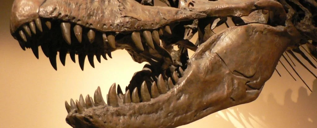 Paleontoloqlar: Dinozavrların təkamül tarixi düşünüləndən 10 milyon il daha qədimdir