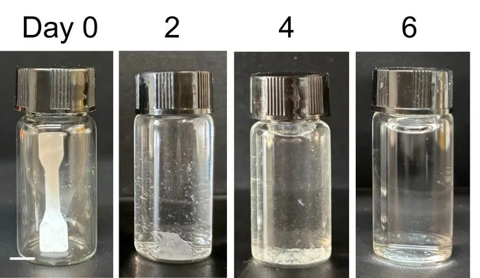Alimlər mikroplastik yaratmadan 6 günə tamamilə parçalanan yeni növ bioplastik hazırlayıblar
