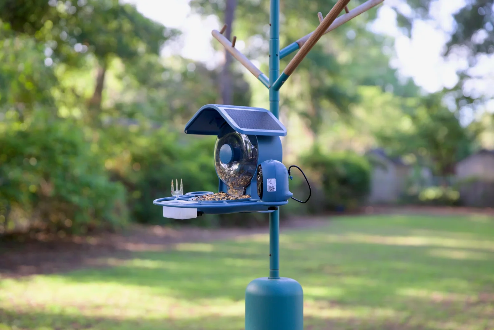 Aura Smart Bird Feeder: Bağçanızdakı quşları izləmək üçün yeni bir vasitə
