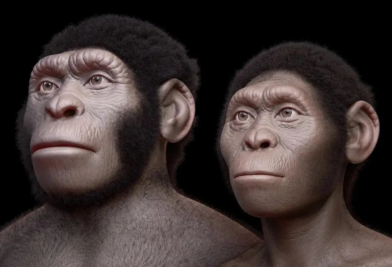 Homo naledi: “İnsanlığın Beşiyi”ndə tapılan qalıqların hamısı dişi imiş