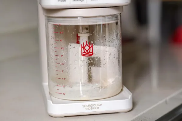 Sourdough Sidekick: Ev şəraitində çörək bişirmə prosesini necə asanlaşdırır?