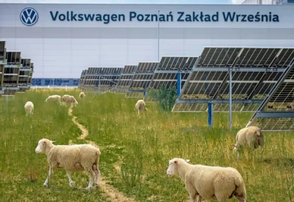 Volkswagen günəş elektrik stansiyasında qeyri-adi eksperimentə başlayıb