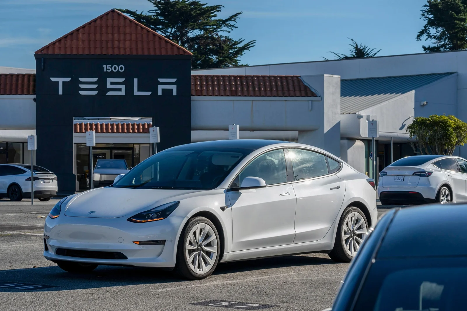 Tesla qəzası: Sürücü FSD sistemini ləğv edərək qəzaya səbəb olub