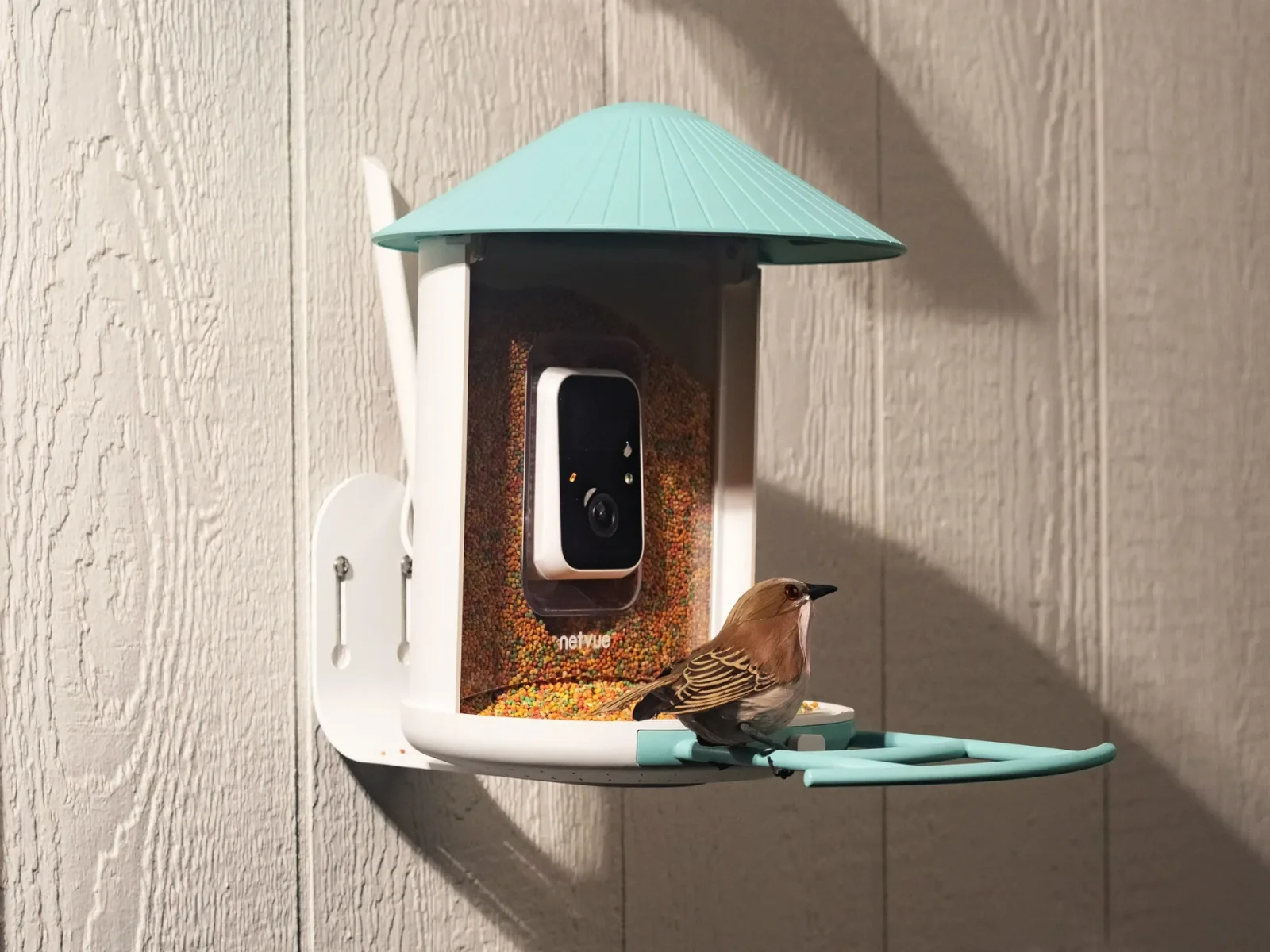 “Birdfy” süni intellektli smart quş yemliyi üçün böyük endirim elan edilib
