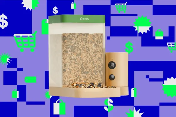 Birdfy-in ağıllı quş yemləyicisi 60 ABŞ dollarına satışa çıxarıldı