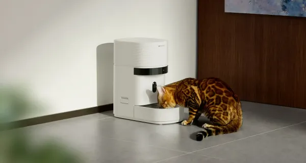 Populyar "Petlibro" smart qidalandırıcılarında yaranan nasazlıq ev heyvanlarını çətin vəziyyətdə ...