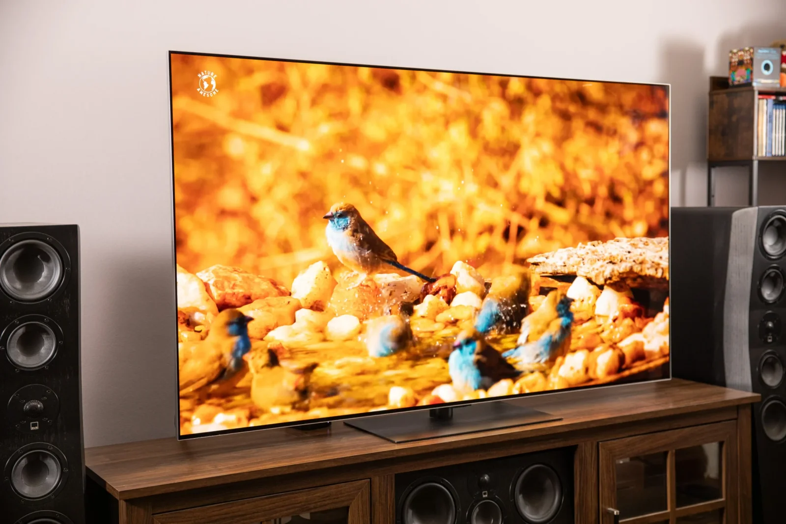 LG smart televizorları oflayn rejimdə belə məlumatları toplayır