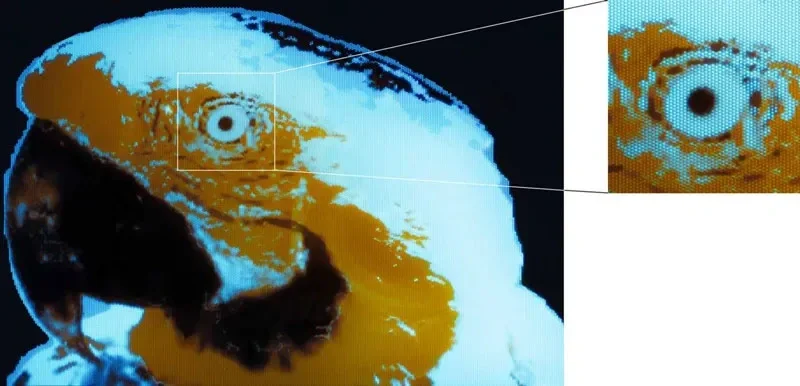 Alimlər ultrabənövşəyi şüalarla OLED pikselləri çap etməyi bacarıb
